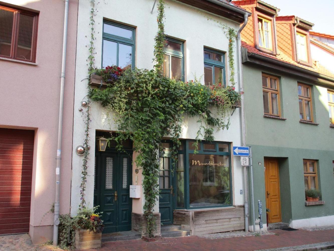 Ferienwohnung-im-mauerbluemchen *